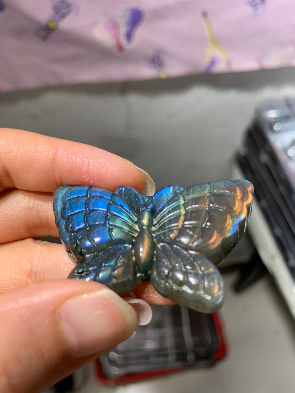 Labradorite Butterfly!!So Beautiful!!!!