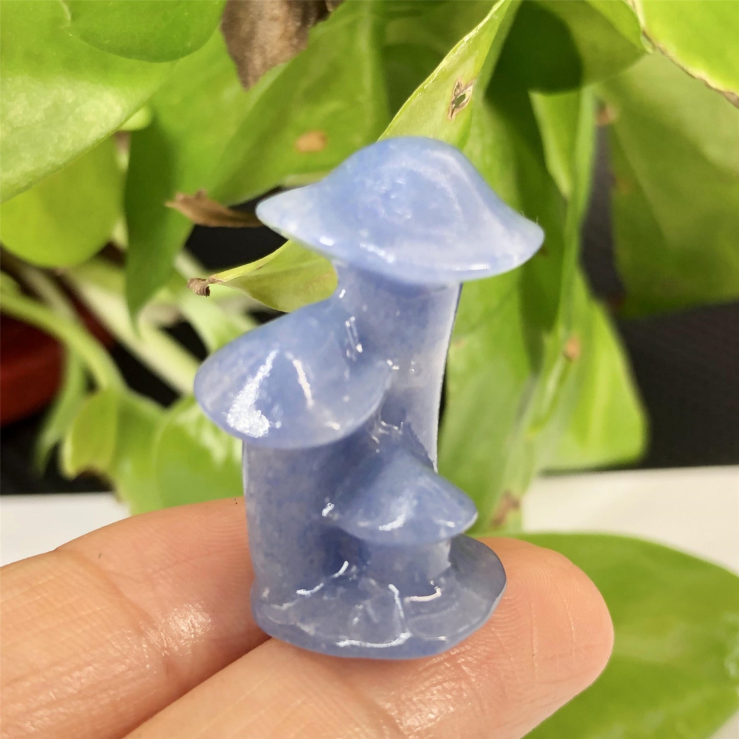 Natural Crystal-Blue Aventurinel Carved Mushroom Ornament!